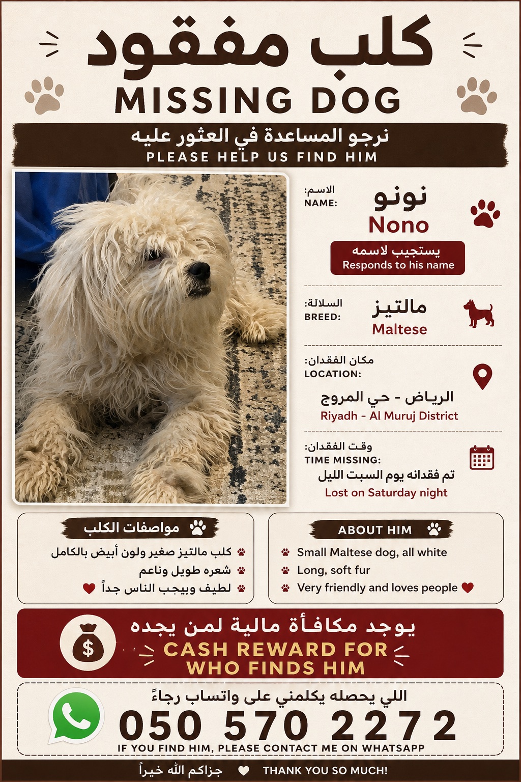 كلب مفقود الرياض حي المروج | المفقودات