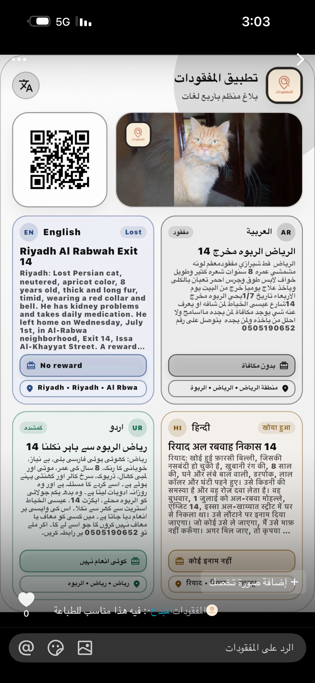 الرياض الربوه | المفقودات
