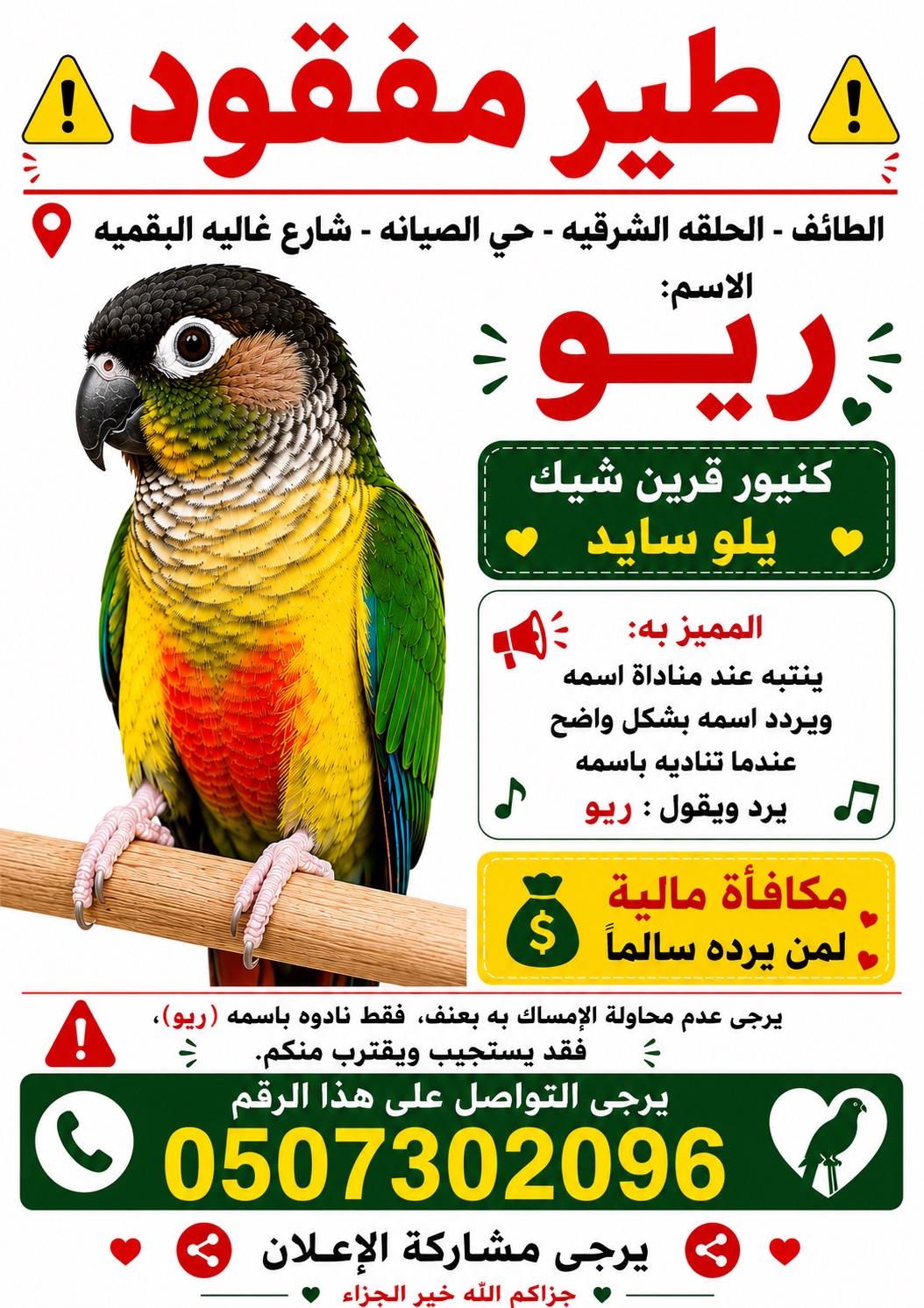 الطايف ححي الصيانه شارع غاليه البقميه | المفقودات
