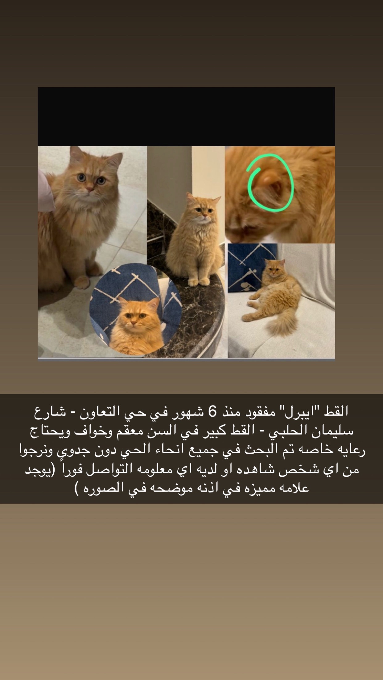 الرياض حي التعاون | المفقودات