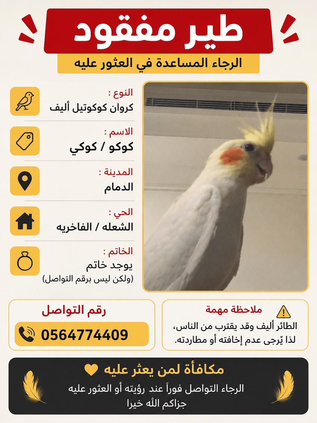 طير مفقود بحي الشعله/ الفاخريه | المفقودات