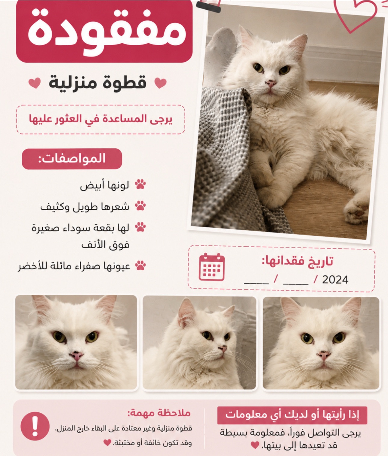 قطوتي ضايعه | المفقودات