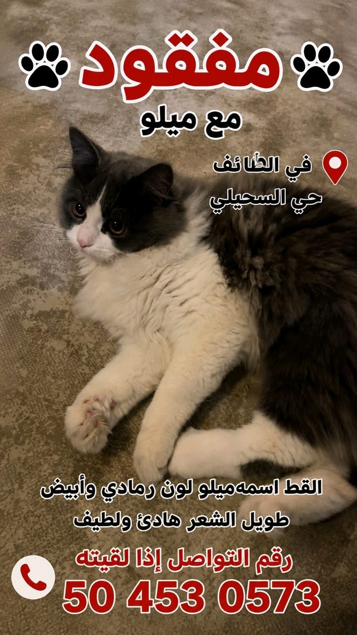 الطائف السحيلي | المفقودات