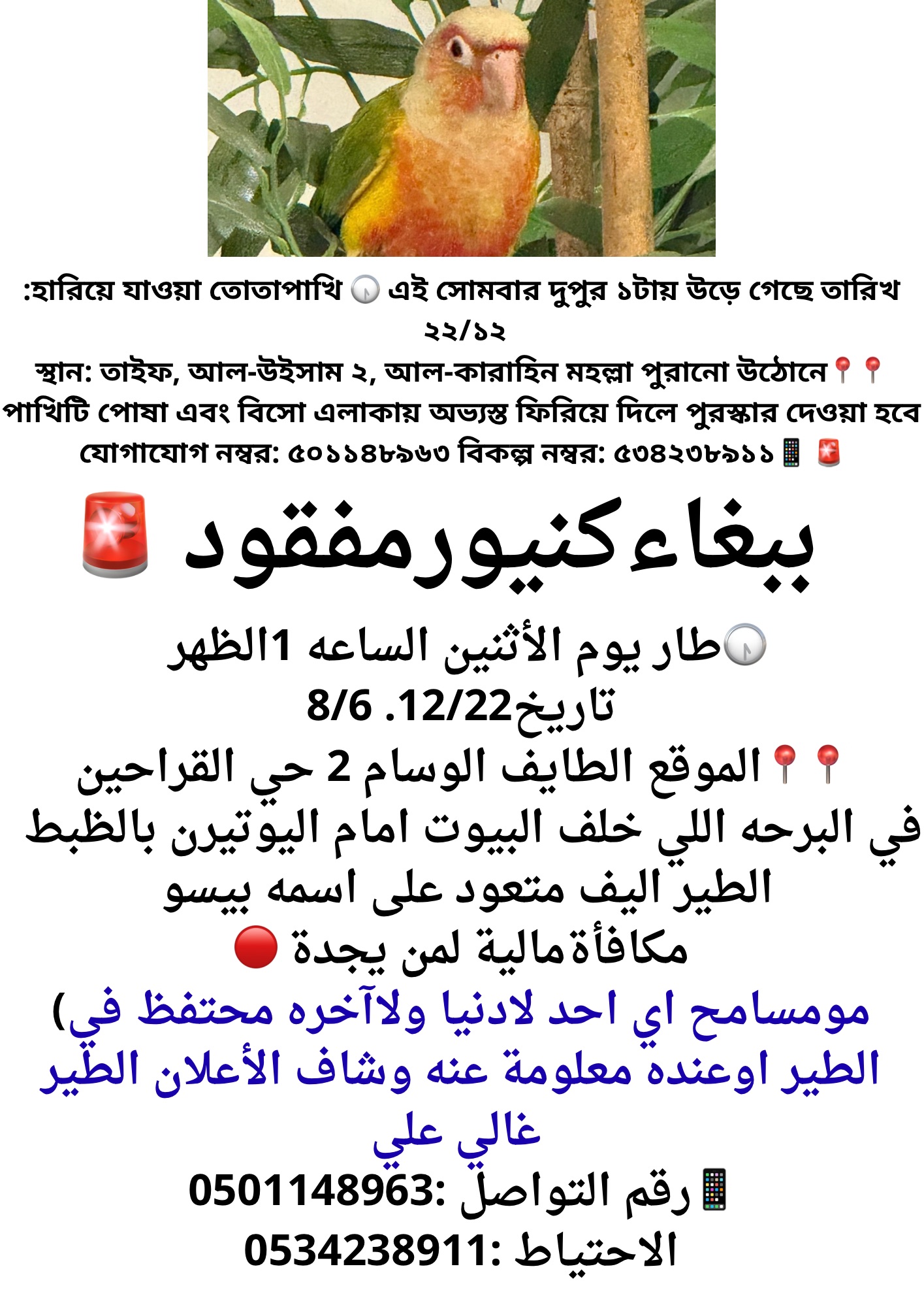 الوسام 2 حي القراحين | المفقودات