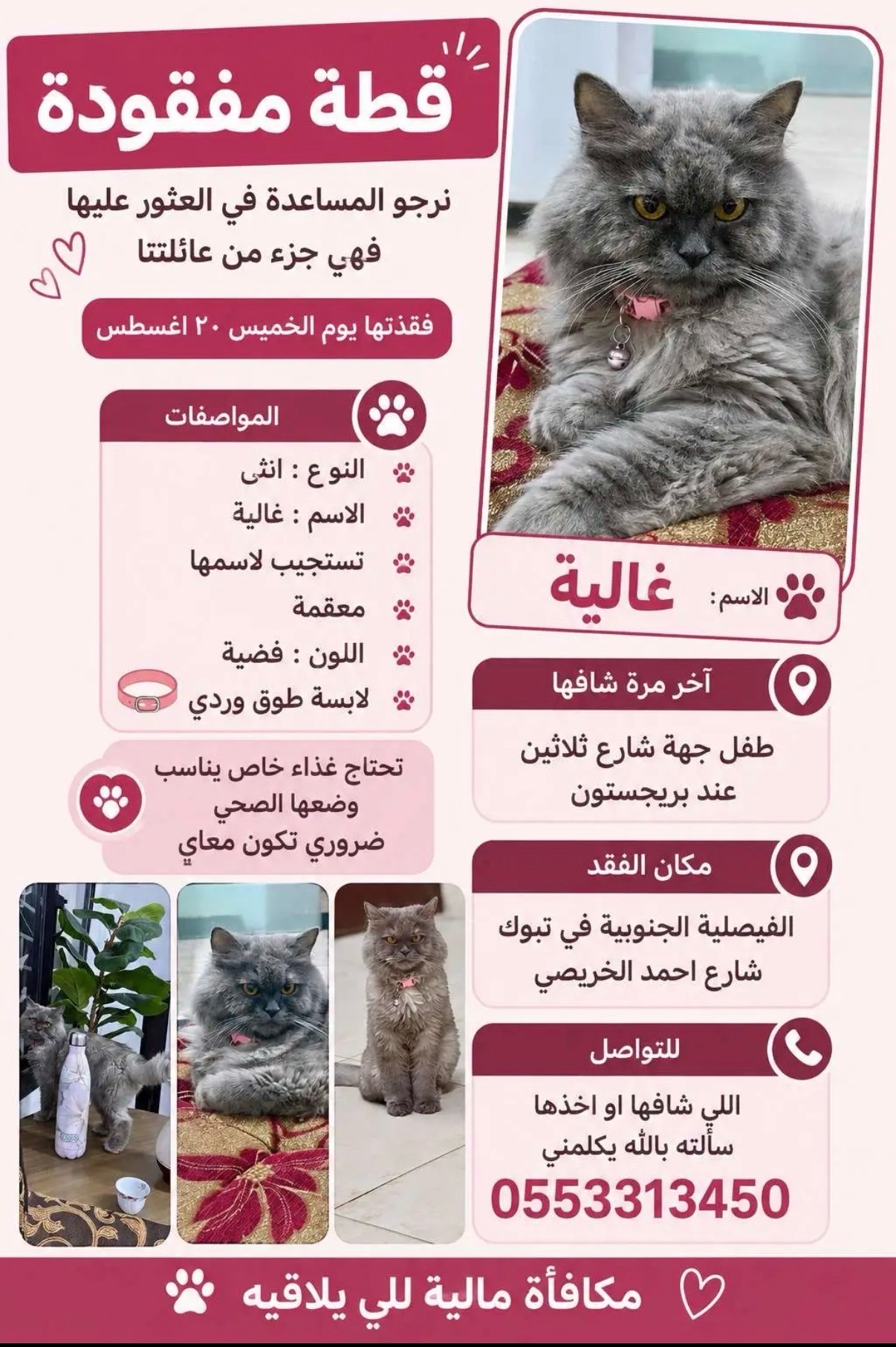 تبوك الفيصلية الجنوبية | المفقودات