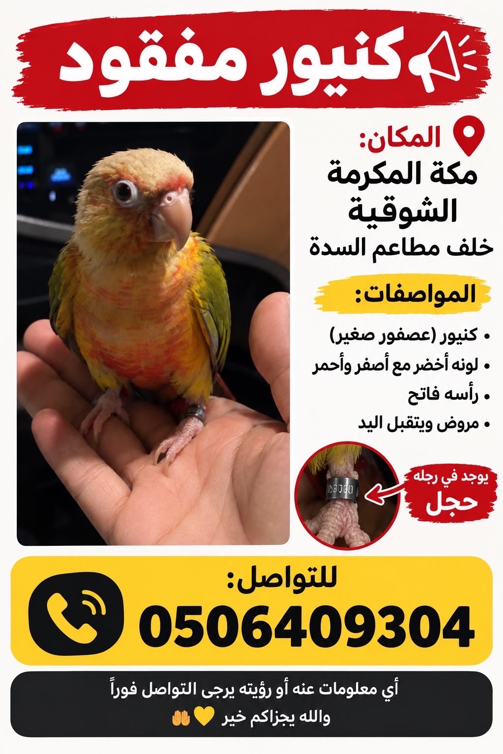 مكه المكرمه -الشوقيه - خلف مطاعم السدة | المفقودات