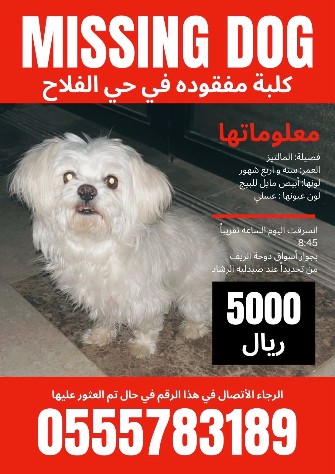 الرياض الفلاح | المفقودات