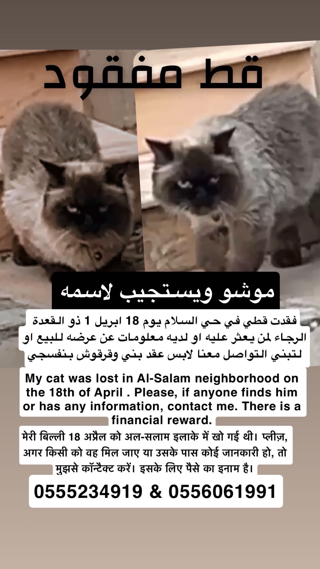 الرياض حي السلام | المفقودات